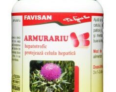 Mariatistel, 40 tabletter, Favisan