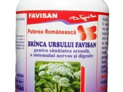 Björn gren växt, 40 tabletter, Favisan