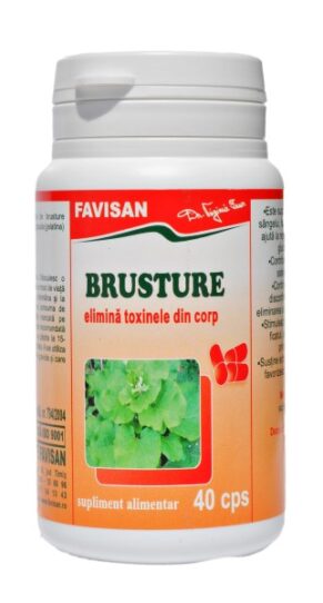 Stor kardborre, 40 tabletter, Favisan