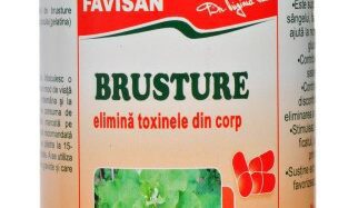 Stor kardborre, 40 tabletter, Favisan