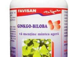 Ginkgo biloba, 40 tabletter, Favisan