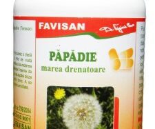 Maskros, 40 tabletter, Favisan