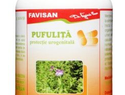 Pösiga tabletter, 40 tabletter, Favisan