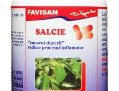 Pilkapsel, 40 tabletter, Favisan