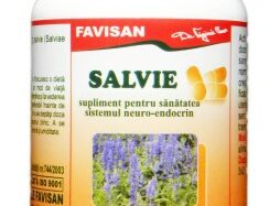 Salvia, 40 tabletter, Favisan