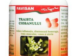 Lommegräs, 40 tabletter, Favisan
