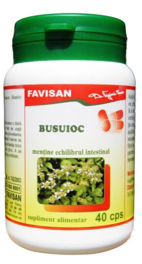 Basilika, 40 tabletter, Favisan
