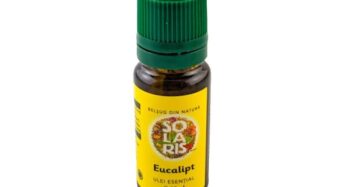 Eukalyptus eterisk olja 10ml, Solaris