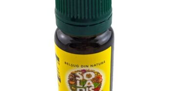 Ingefära eterisk olja 10ml, Solaris