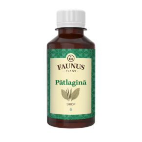 Groblad sirap 200 ml, Faunus Plant