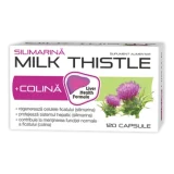 Silymarin Mjölk Thistle + Colina, 120 kapslar, Zdrovit